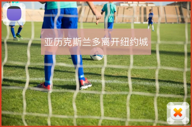 亚历克斯兰多离开纽约城